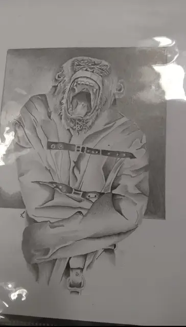 Unknown Artist portfolio work 32