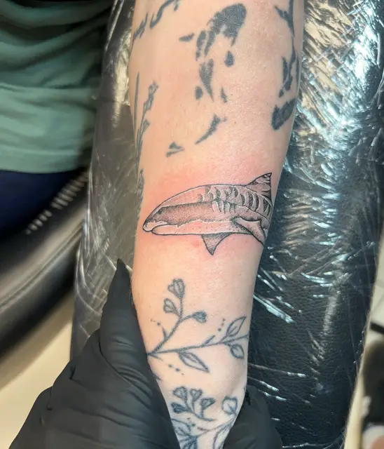 American Traditional Tattoo Artist United States C2e46f portfolio work 6