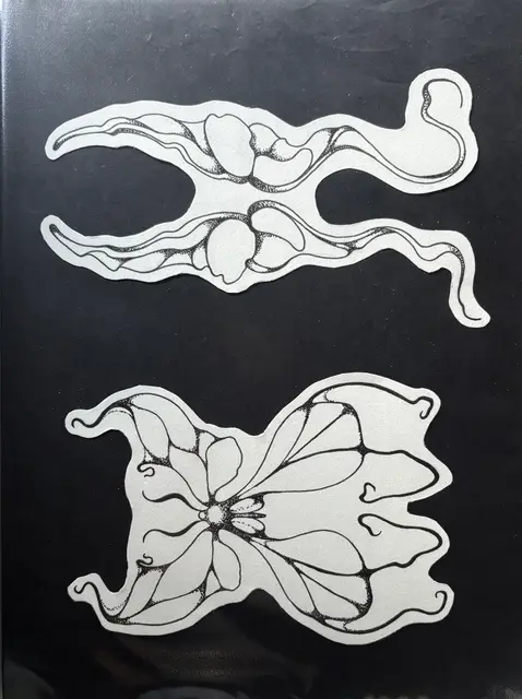 Rebecca Antonelli portfolio work 16