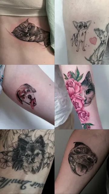  portfolio work 8