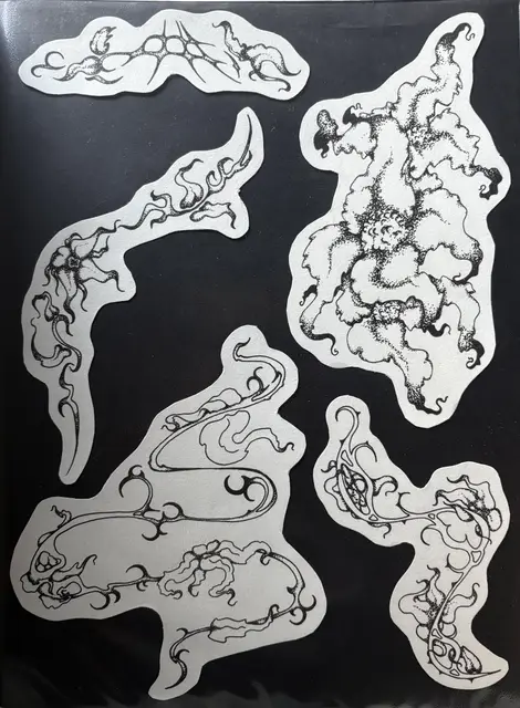 Rebecca Antonelli portfolio work 12