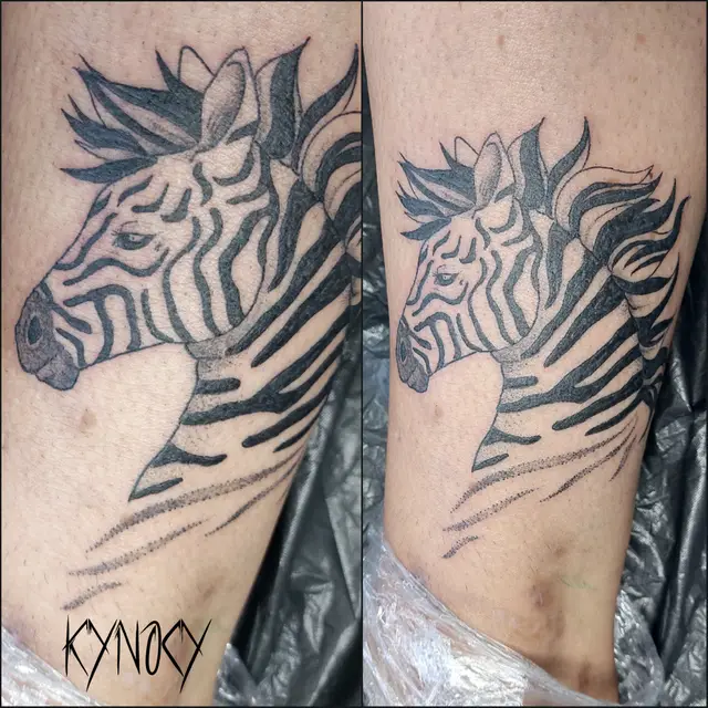 Zebra