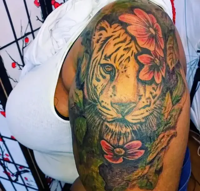 Tiger 🐅🐯