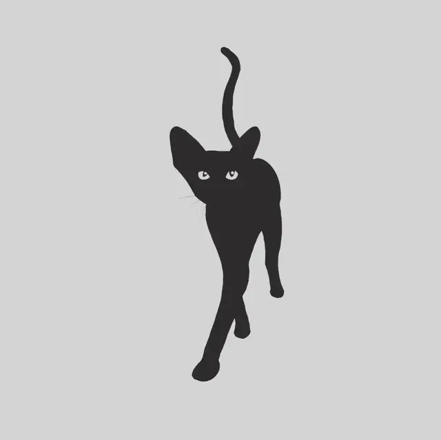 Joke Rommelaere portfolio work 24