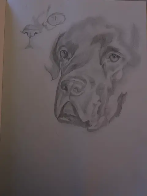 Ilse van Ginkel  portfolio work 1