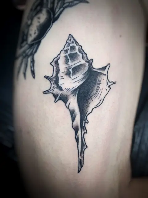 Seashell