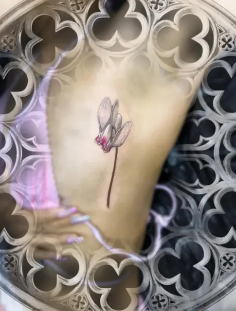 The Cyclamen