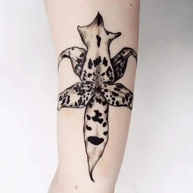Tatsiana Melnikava portfoliowerk 6