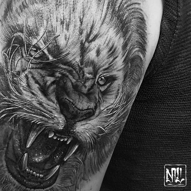 Mike Laima portfolio work 11