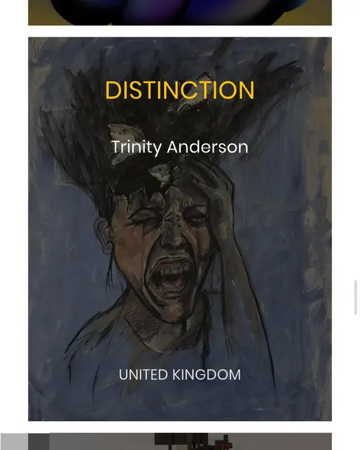 Trinity  Anderson portfolio work 3