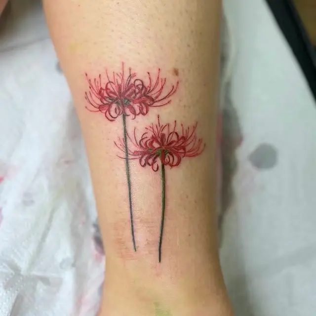 Luciana Zamarbide portfolio work 16