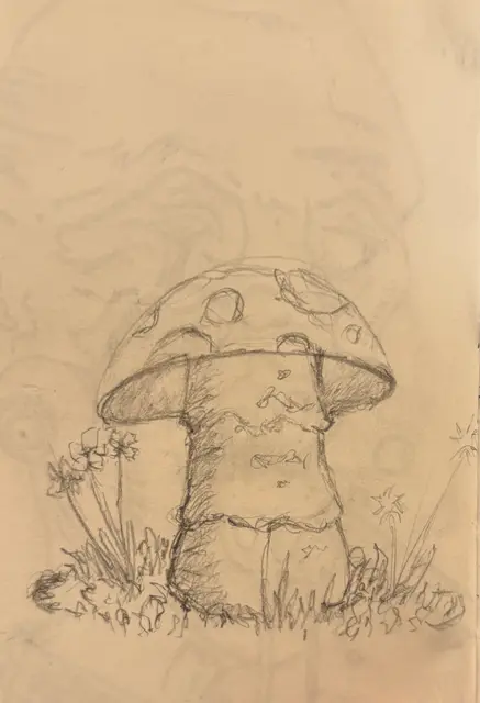 Unknown Artist portfolio work 3