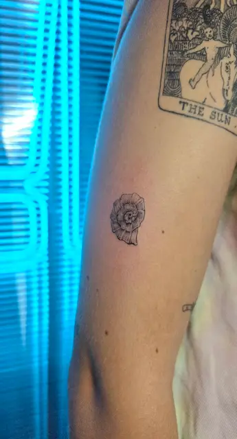 Mario  Urbinati portfoliowerk 20