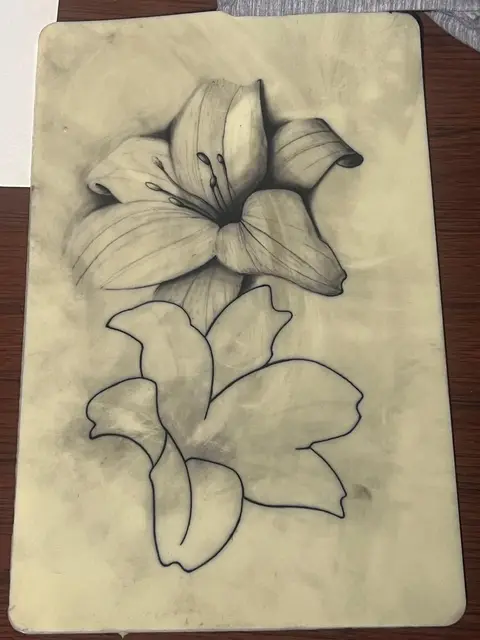 Roshane Bommel portfolio work 14