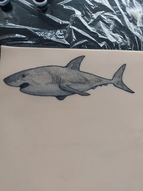 Andor Csapo portfolio work 9