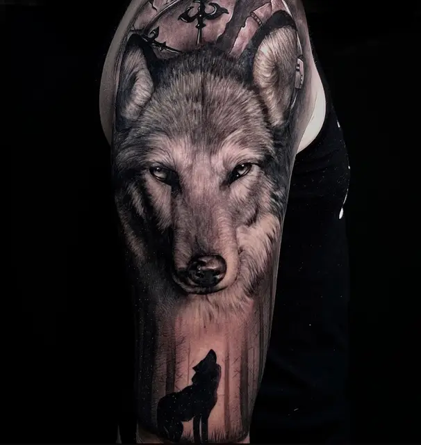 Alexandr Zui portfolio work 17