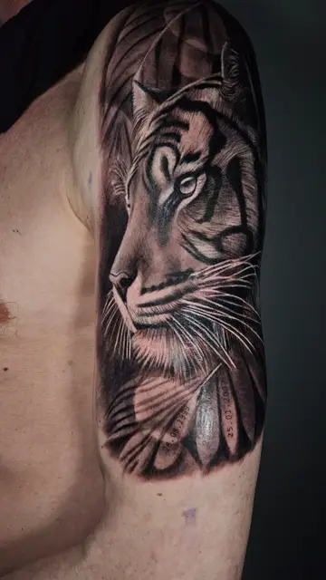Oleksandr  Bashta portfoliowerk 24