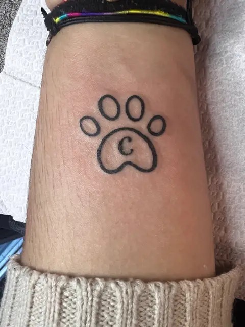 Chiara  D’amico portfolio work 8
