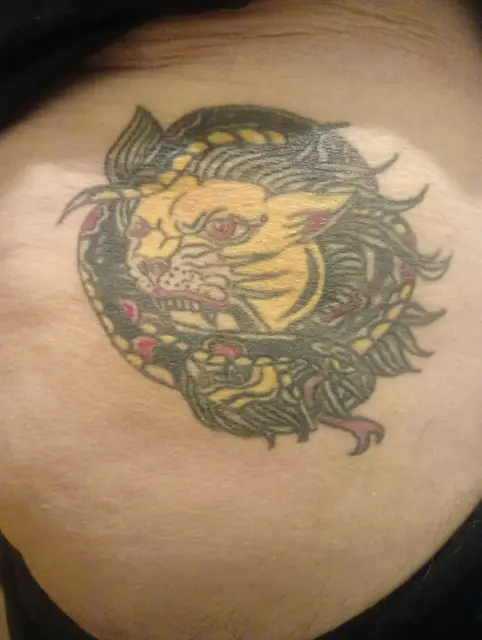 Lion traditional colour