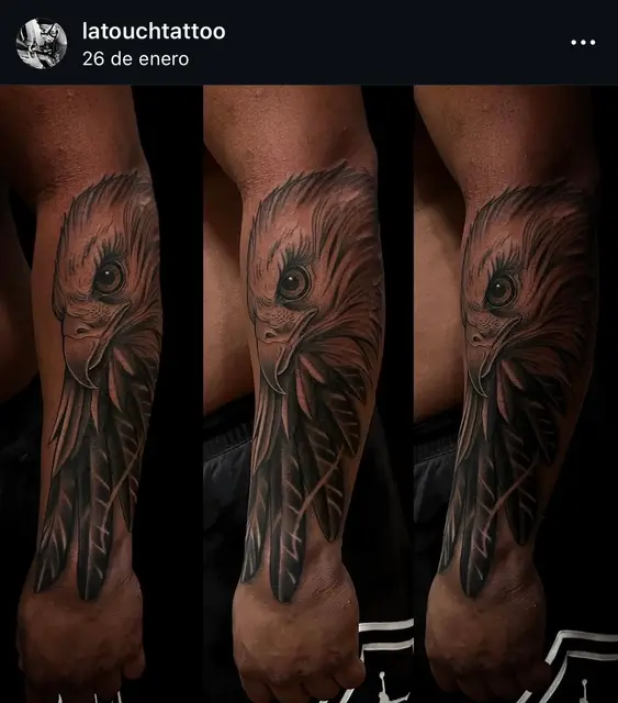 Águila