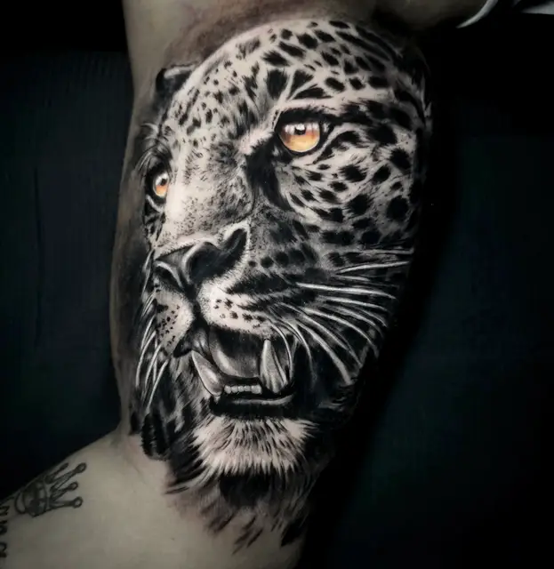 johan muñoz portfolio work 4