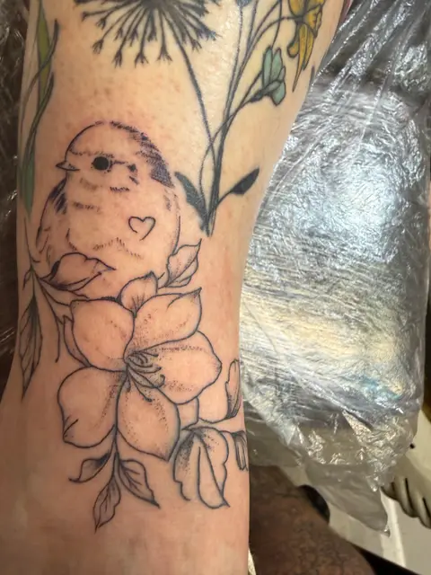 Robin