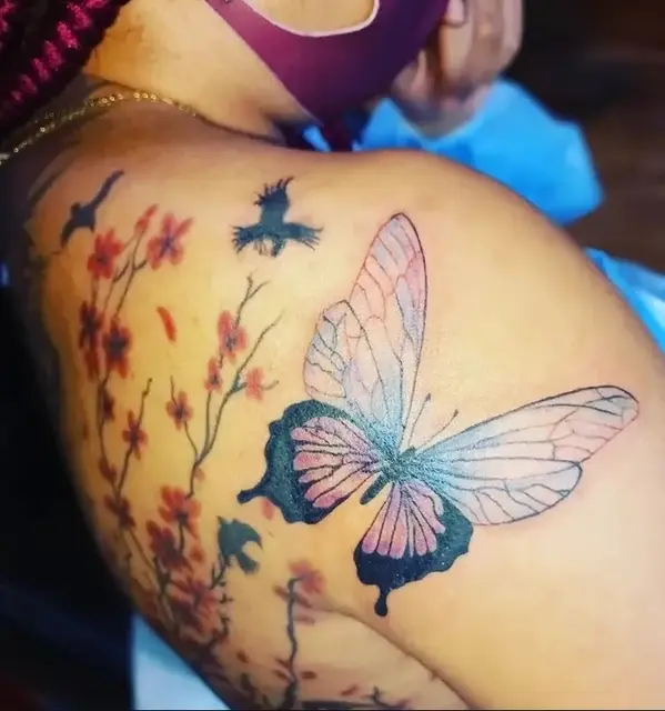Butterfly 🦋