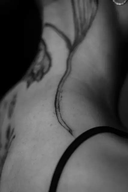 Vi  Guidugli portfolio work 23