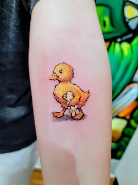 Duckling with Plushy